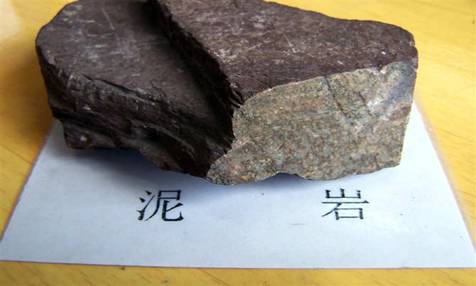 泥巖